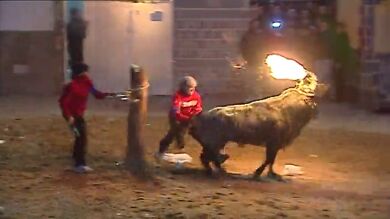 Tensión en el ayuntamiento de Valencia por la prohibición de festejos taurinos