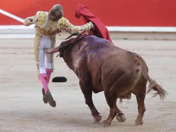 Javier Jiménez Javier Jiménez