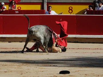 Francisco Marco Francisco Marco