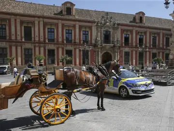 Coche de caballos en Sevilla Coche de caballos en Sevilla