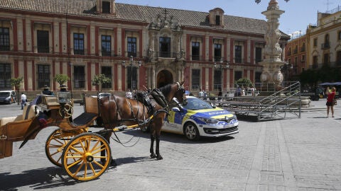 Coche de caballos en Sevilla