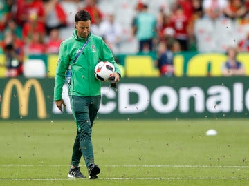 Mark Clattenburg camina sobre el césped de Saint-Denis entre las miles de polillas