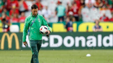 Las polillas invaden el césped de Saint-Denis en la final de la Eurocopa