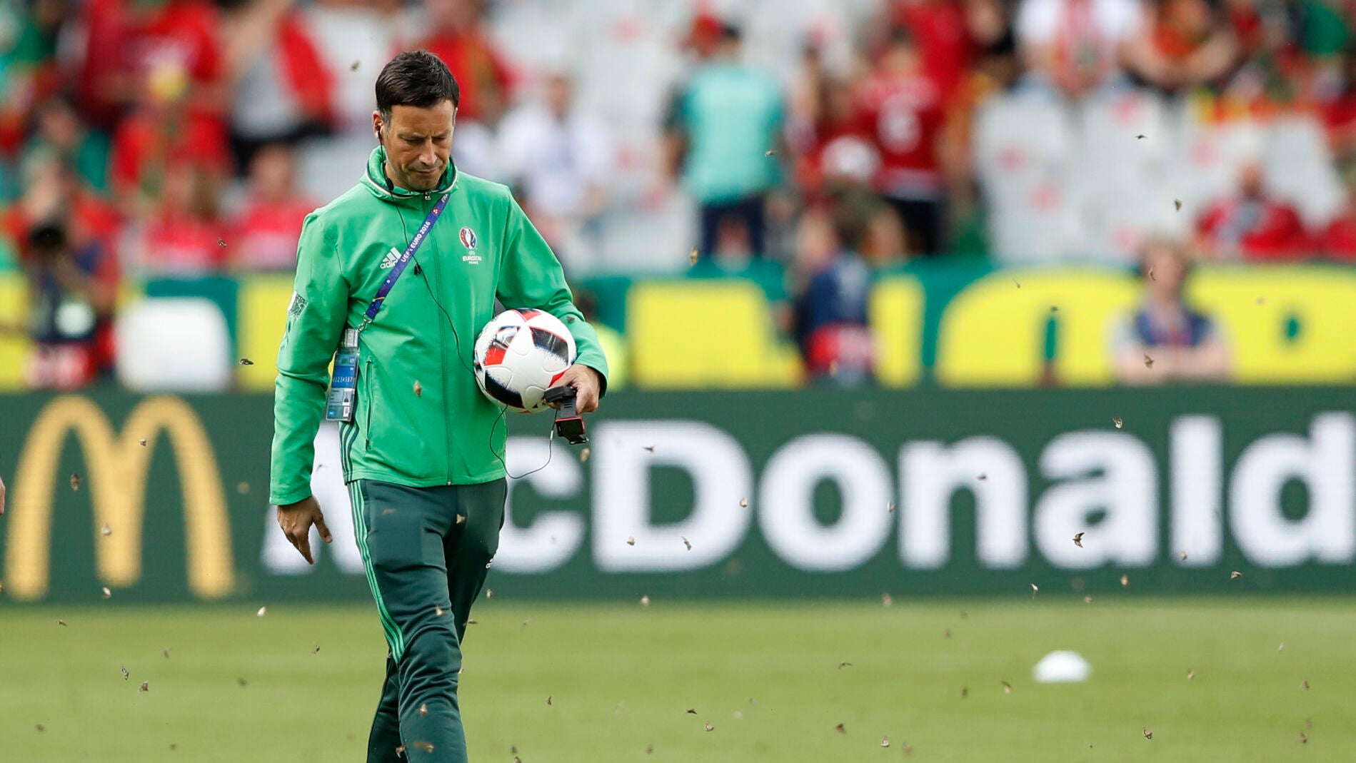 Mark Clattenburg camina sobre el c&eacute;sped de Saint-Denis entre las miles de polillas