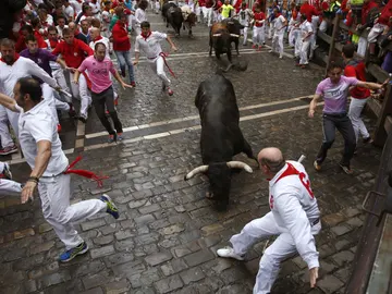 Los toros de Núñez del Cuvillo en el séptimo encierro de San Fermín 2016. Los toros de Núñez del Cuvillo en el séptimo encierro de San Fermín 2016.