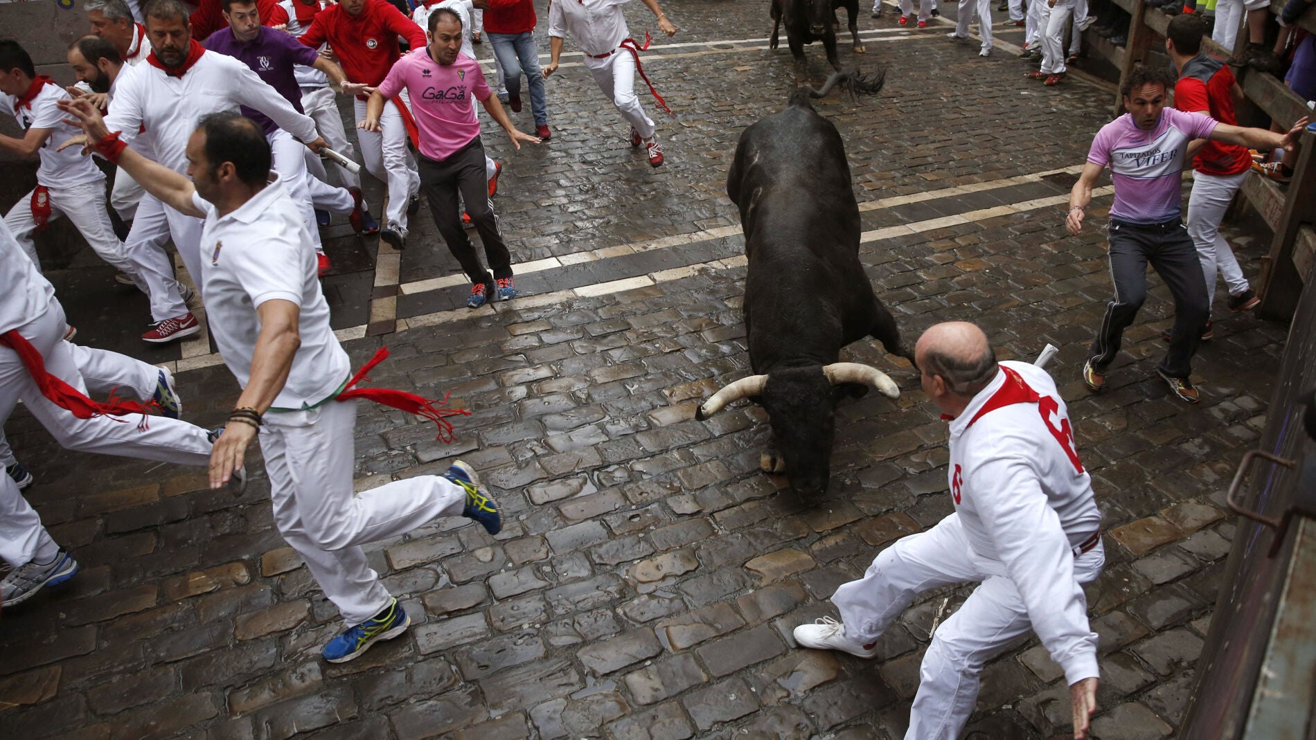 Los toros de N&uacute;&ntilde;ez del Cuvillo en el s&eacute;ptimo encierro de San Ferm&iacute;n 2016.