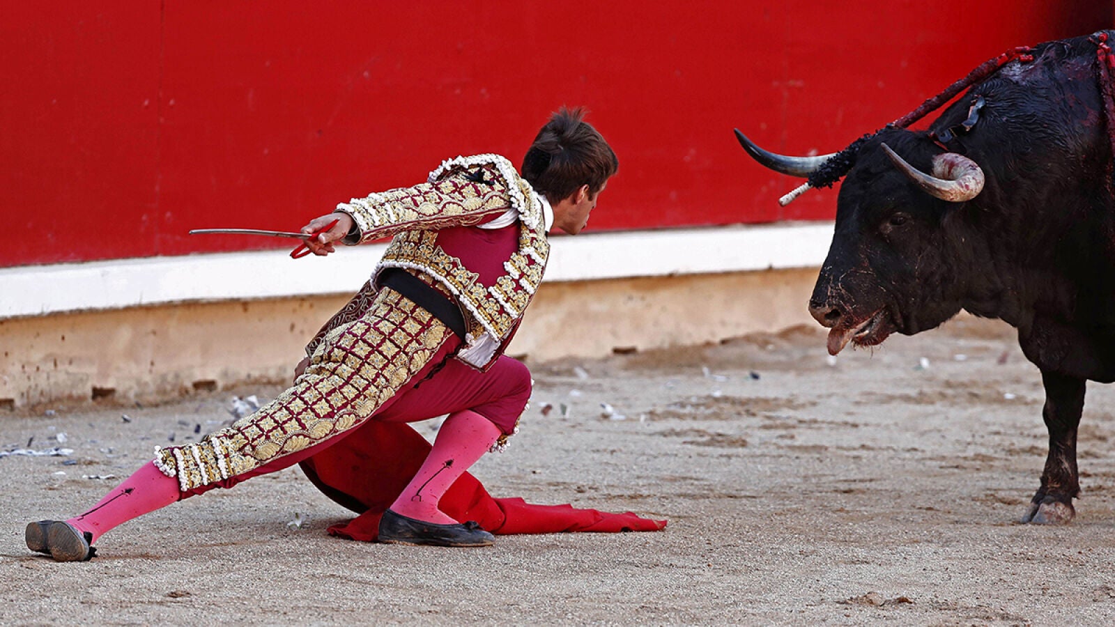 'Desgarbado', el toro de la feria, le abre al Juli la puerta del encierro