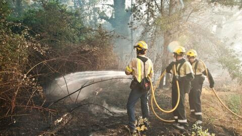 Trabajan en la extinci&oacute;n del incendio declarado en Girona