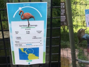 Cartel creado por la cuidadora del Zoo de Birmingham