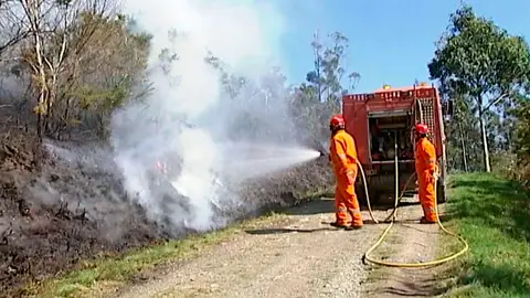 Incendios capitulo 41