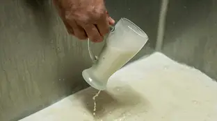Horchata de Valencia Horchata de Valencia