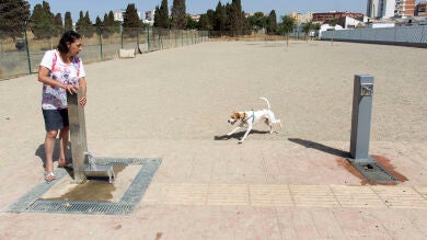 Málaga cierra el parque para perros de San Rafael situado sobre una fosa de la Guerra Civil