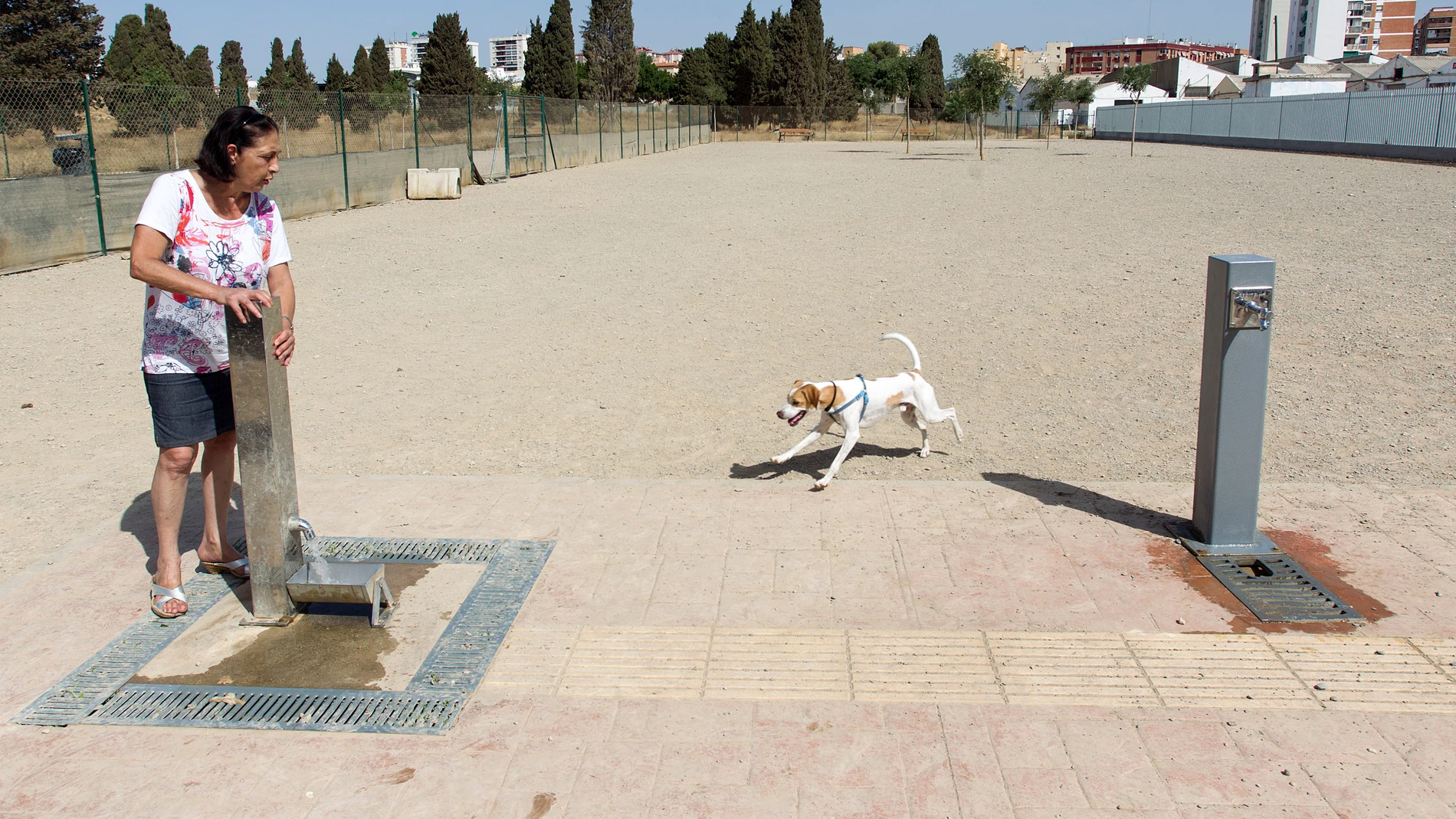 El parque para perros de Málaga El parque para perros de Málaga