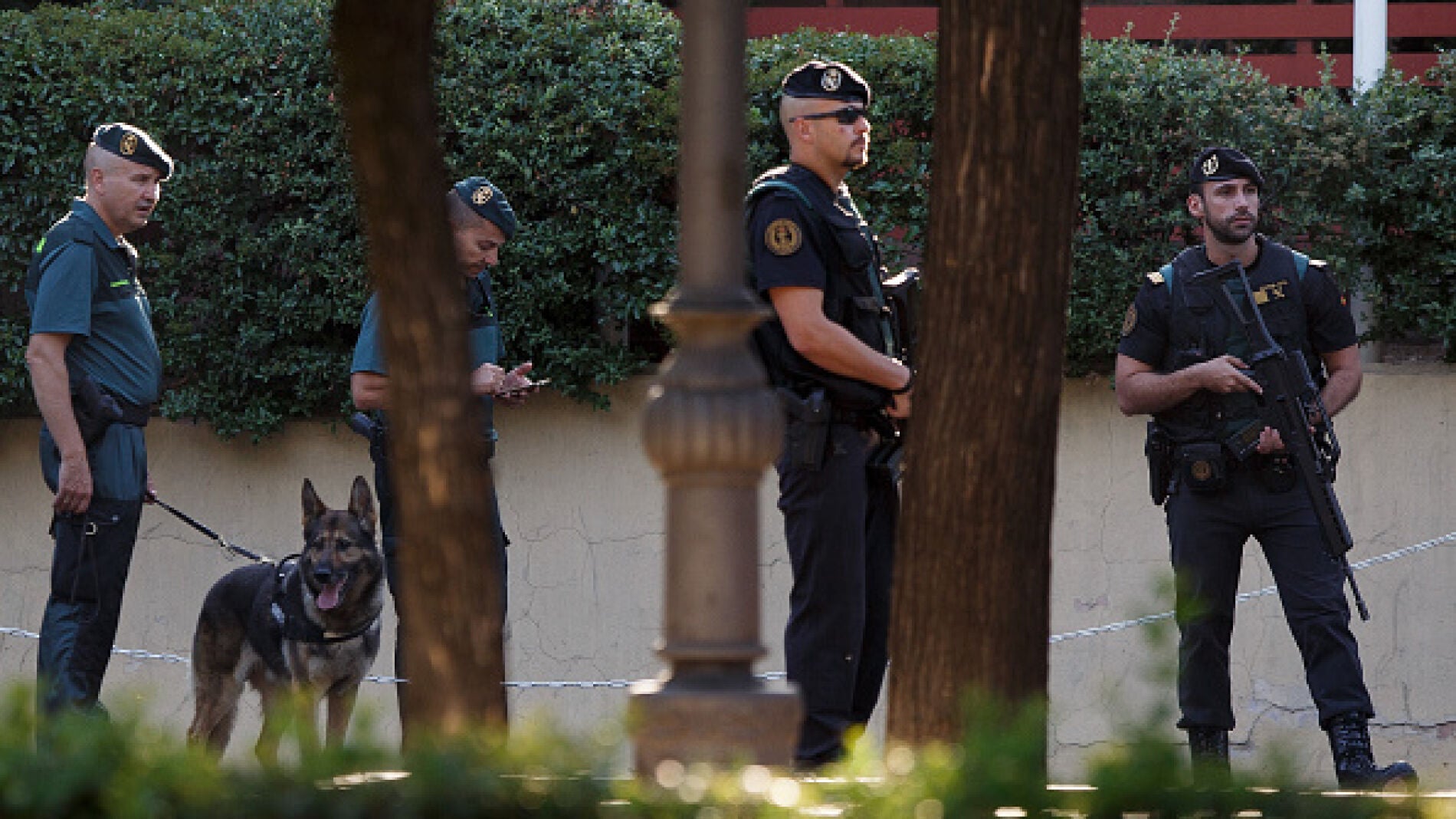 Fuerzas de seguridad espa&ntilde;olas