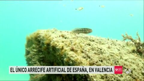 Arrecife artificial en Valencia
