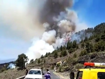 Frame 16.407994 de: Un incendio calcina un bosque de pinos en La Palma Frame 16.407994 de: Un incendio calcina un bosque de pinos en La Palma