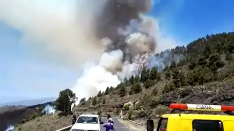 Frame 16.407994 de: Un incendio calcina un bosque de pinos en La Palma Frame 16.407994 de: Un incendio calcina un bosque de pinos en La Palma