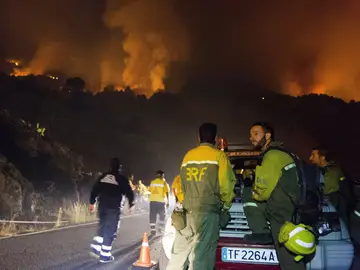 incendio La Palma incendio La Palma