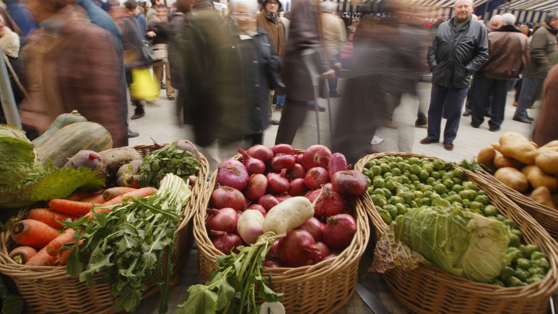 Los precios internacionales de los principales productos alimentarios experimentaron un ligero descenso en julio, tras cinco meses consecutivos de subidas