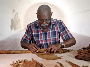 José Castelar Cairo, conocido como "Cueto", confecciona un nuevo habano gigante José Castelar Cairo, conocido como "Cueto", confecciona un nuevo habano gigante