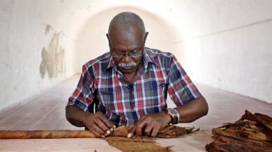 Un tabaquero cubano de 72 años está intentando batir su propio récord Guinness creando el mayor puro del mundo