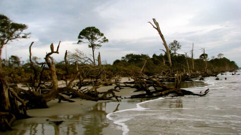 Isla de Jekyll, en Georgia (Estados Unidos)