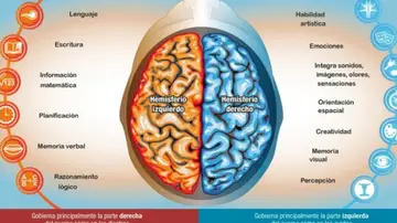 Hemisferios derecho e izquierdo Hemisferios derecho e izquierdo