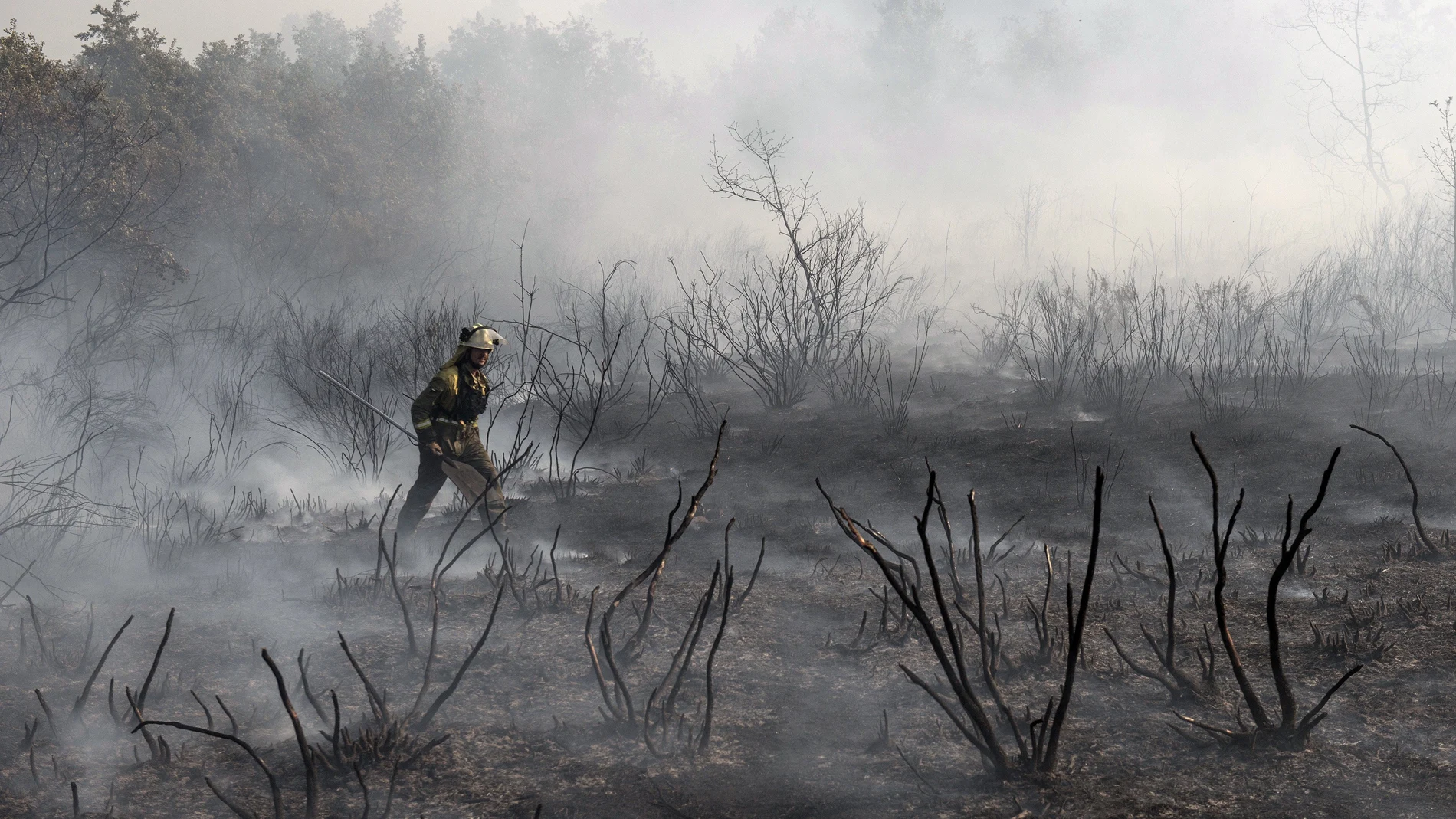 Incendios en Galicia Incendios en Galicia
