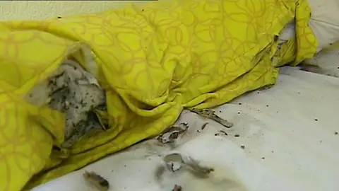 Niños heridos Bétera Niños heridos Bétera