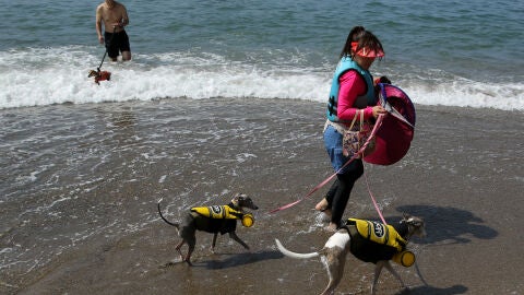 Los ba&ntilde;istas disfrutan de sus mascotas en vacaciones