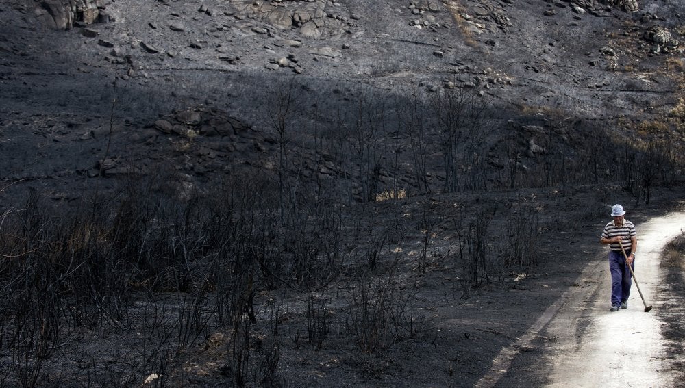 Un hombre camina por terrenos arrasados en los incendios que han asolado Galicia