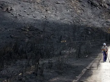 Un hombre camina por terrenos arrasados en los incendios que han asolado Galicia Un hombre camina por terrenos arrasados en los incendios que han asolado Galicia