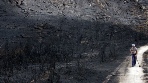 Un hombre camina por terrenos arrasados en los incendios que han asolado Galicia