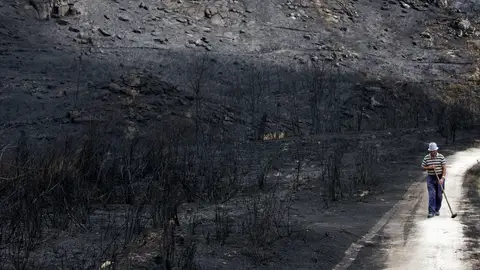 Un hombre camina por terrenos arrasados en los incendios que han asolado Galicia Un hombre camina por terrenos arrasados en los incendios que han asolado Galicia