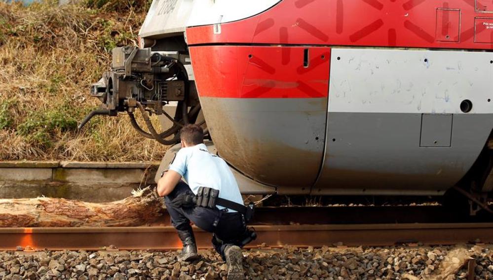 Accidente de tren por la caída de un árbol en el sur de Francia