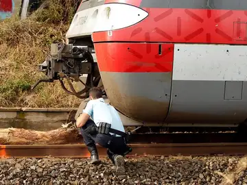 Accidente de tren por la caída de un árbol en el sur de Francia Accidente de tren por la caída de un árbol en el sur de Francia