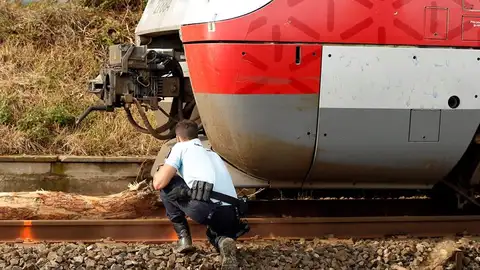 Accidente de tren por la caída de un árbol en el sur de Francia Accidente de tren por la caída de un árbol en el sur de Francia