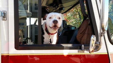 Jake en el camión del cuerpo de bomberos de Hanahan
