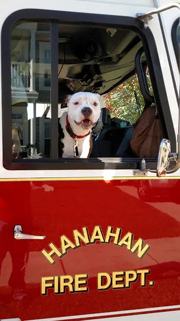 Jake en el camión del cuerpo de bomberos de Hanahan Jake en el camión del cuerpo de bomberos de Hanahan