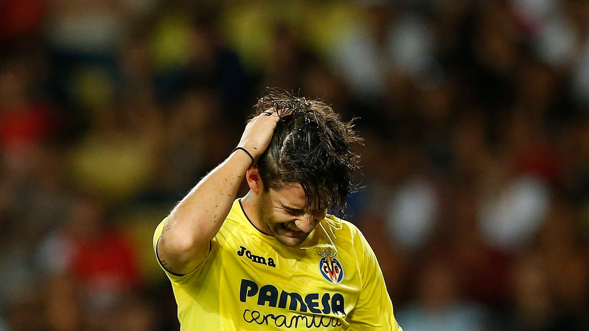 Pato lament&aacute;ndose tras una acci&oacute;n fallida