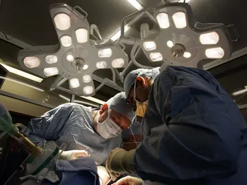 España, lider mundial en trasplantes España, lider mundial en trasplantes