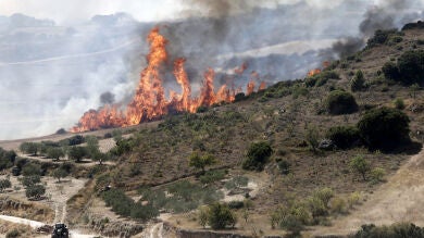 El incendio que ya arrasa 2.000 hectáreas en Navarra pudo haber sido provocado por una colilla arrojada desde un coche