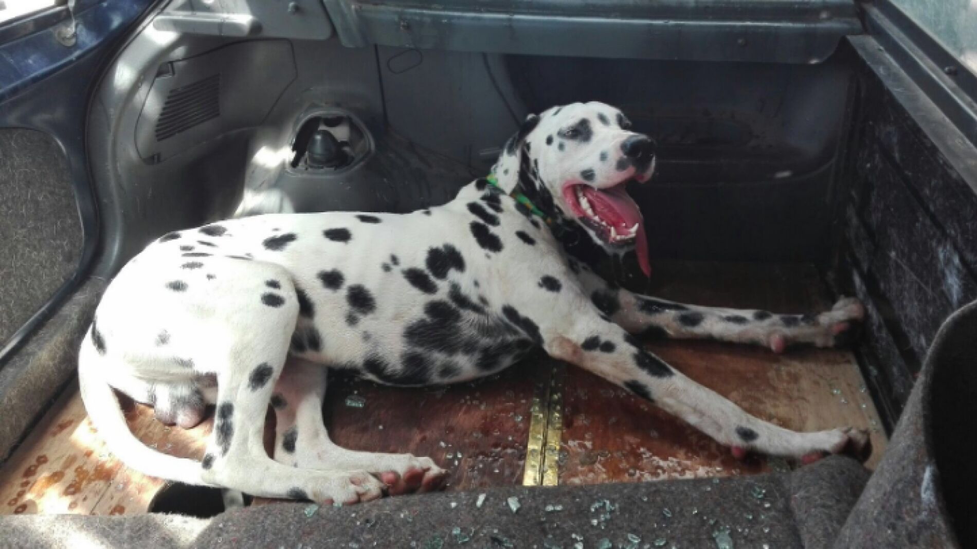Rescate de un perro encerrado en un coche en el aparcamiento de un centro comercial
