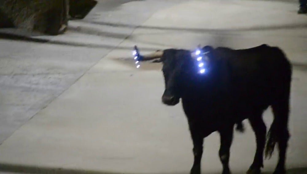 Frame 16.109115 de: Un "toro embolado" con luces led en los cuernos en vez de fuego en las fiestas de Los Fayos