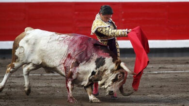 Puerta grande para la calidad y la inteligencia lidiadora de Diego Urdiales