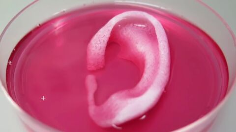 Frame 33.142948 de: El 65 por ciento de los estudiantes de hoy ejercer&aacute;n trabajos que ahora no existen