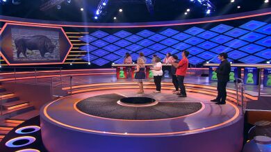 'Comeflores', otra vez en la gran final
