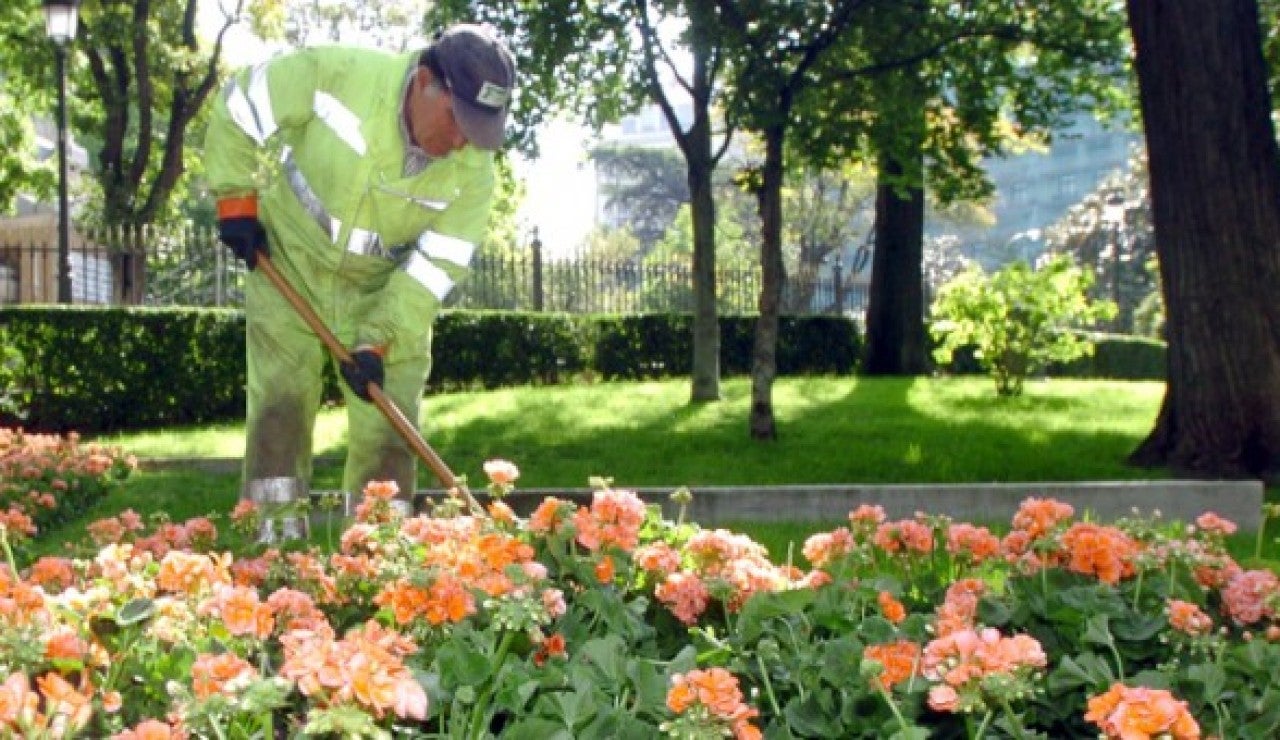 Imagen de archivo de un jardinero