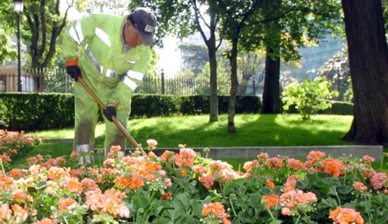 Imagen de archivo de un jardinero