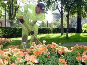 Imagen de archivo de un jardinero